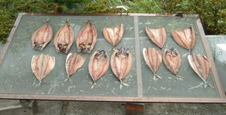 �T�o�����̌��{