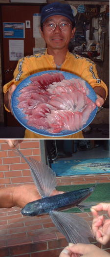 �C�i�_�ƃ\�[�_�̎h�g