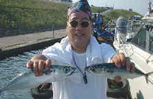 ���f���̓S����