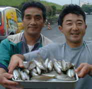 ���b�L�[���o�[