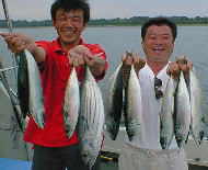 ���[�N�C�[���j�R�j�R