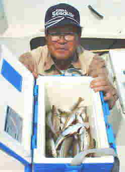 �e�B�[�^�C���L�X