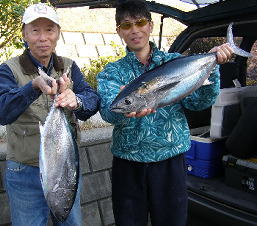 �ő�S,�W�L����������I