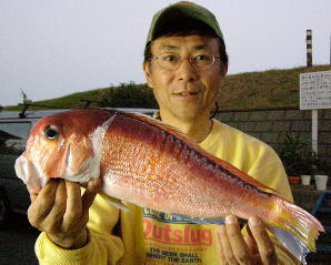 �A�}�_�C���l���񂾂�炪���Ă���������݂����I