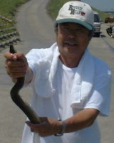 �}�C���f�B�[�̂��Ȃ�