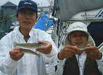 �A�g�����e�B�b�N�̃L�X