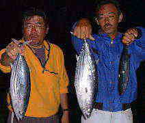 �t�F�A���[�̃J�c�I