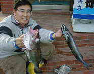 �X�s���b�c