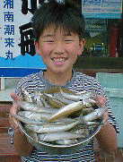 ���V�̃L�X