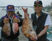 �^�J�q���̃^�C